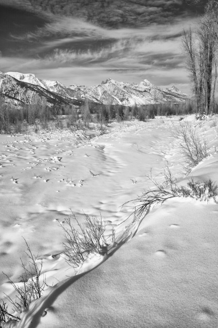 MonochromTetonWinterZF (1 of 1)