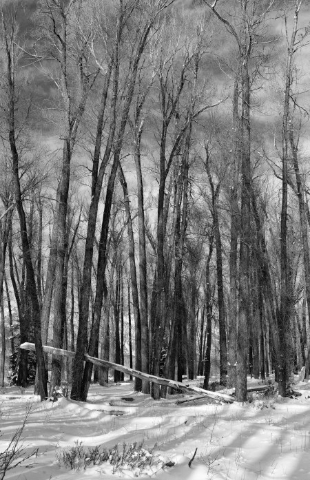 MonochromTetonWinterZF3 (1 of 1)