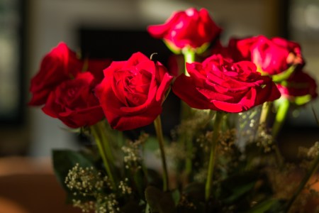 Before Valentines Day Fades