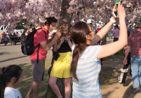 CherryPortraitsDjuGetIt