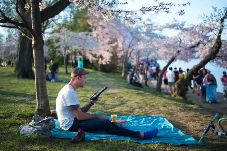 CherryPortraitsreplace2