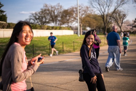 Wait You've Got Thee Oh Sees