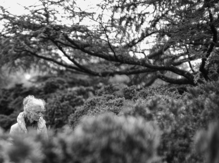 Woman In The Bishop's Garden