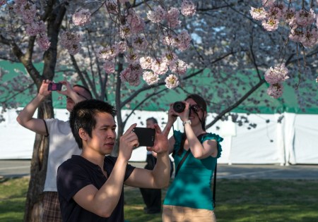 Do Over BW Friends Blossoms-24