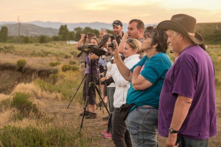 Moose Spotted2 (1 of 1)