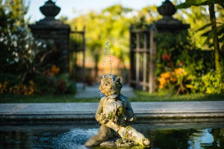 The Titanic Struggle (Perfect Light)