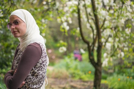 Golden Gate Botanical 2