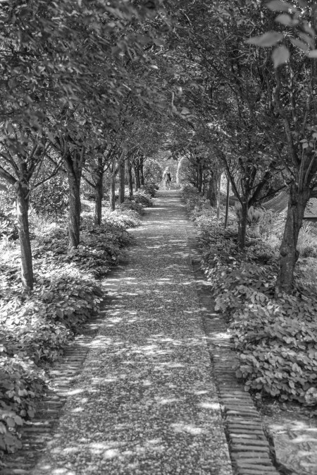 Gardens For Book 2-38