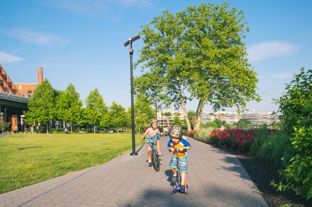 Memorial Day Color Speed Racer Crop