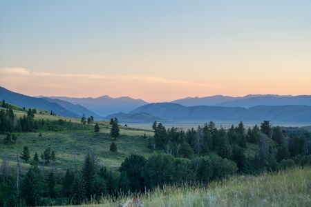 Jax B+W Dodge Export Ha Fooled You!