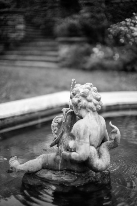 Rainy Afternoon Delight