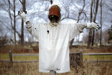 Scarecrow 4