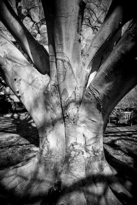 SL Dumbarton These Arms To Hold You