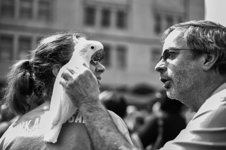 Funk Parade 2016 Supplement