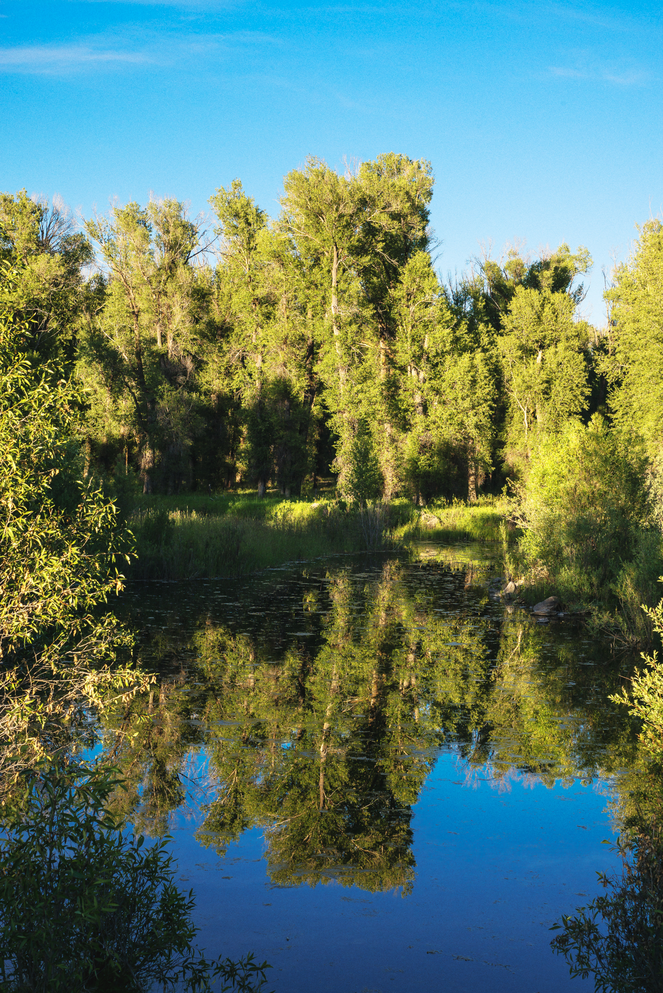 Evening Walk With Water