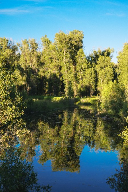 Evening Walk With Water