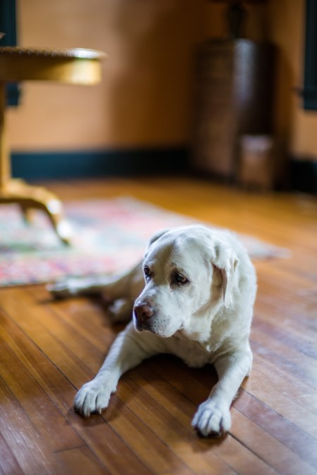 t-frenzy-top-10-color-11