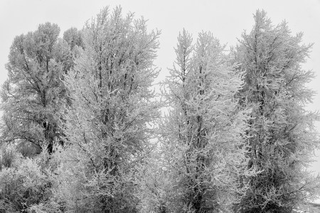 new-years-day-2017-snow-11