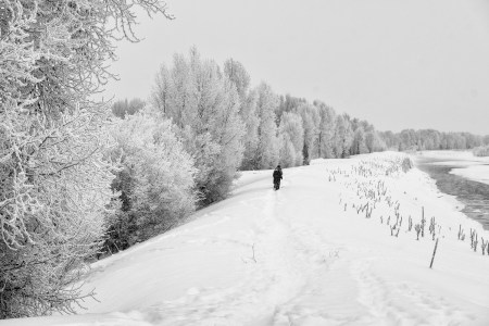 new-years-day-2017-snow-12