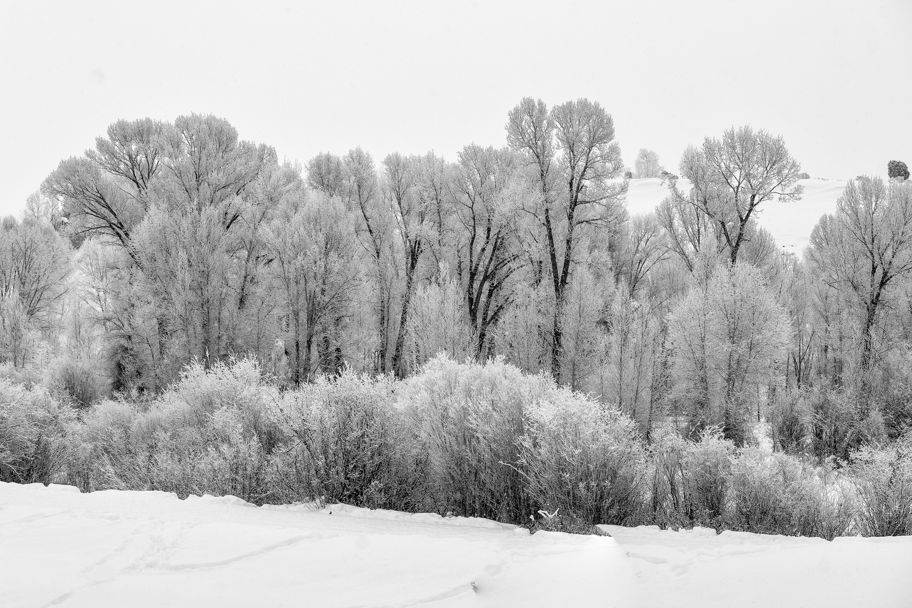 new-years-day-2017-snow-13