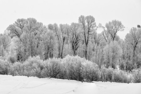 new-years-day-2017-snow-13