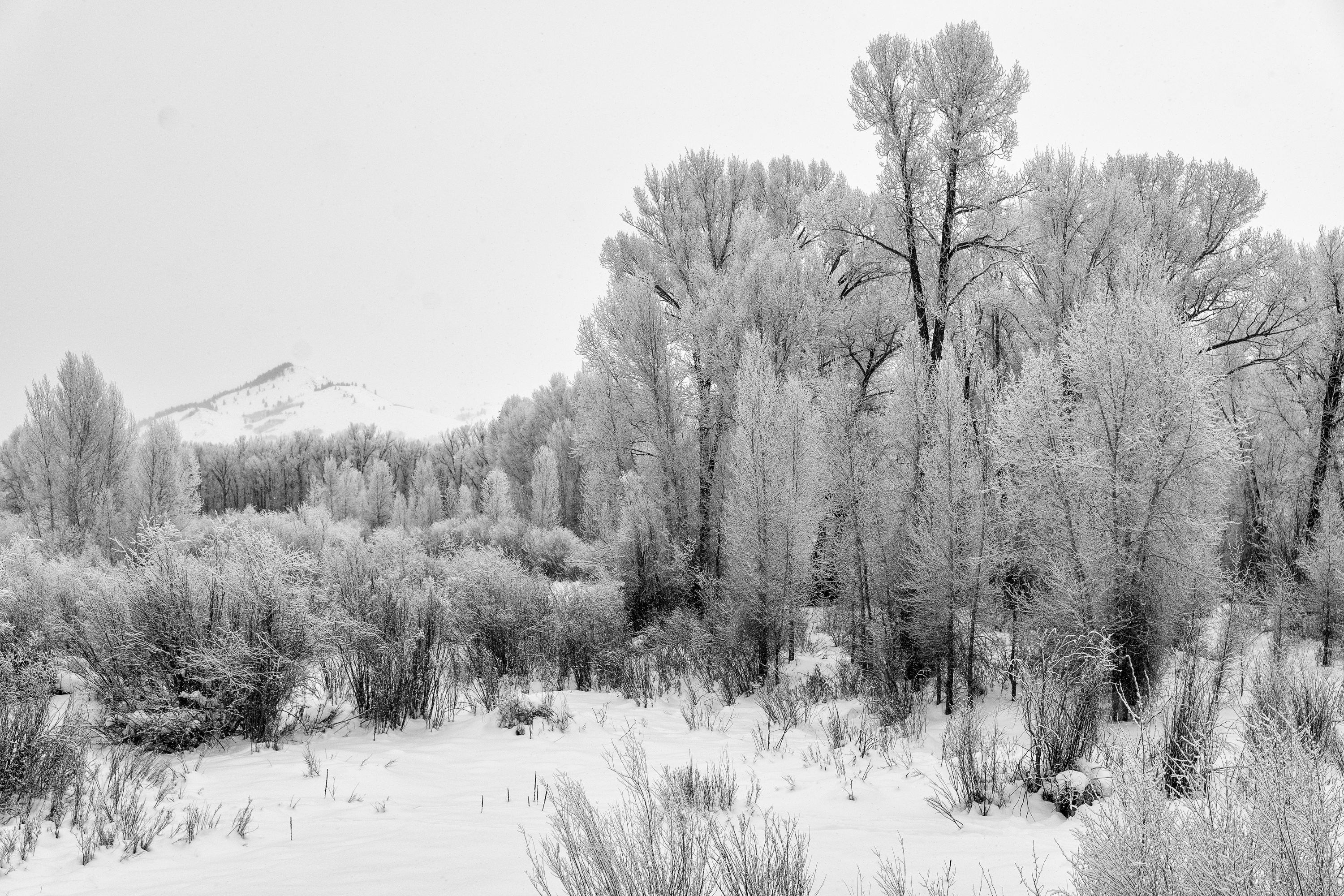 new-years-day-2017-snow-14