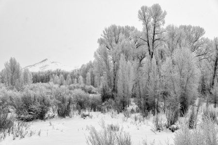 new-years-day-2017-snow-14