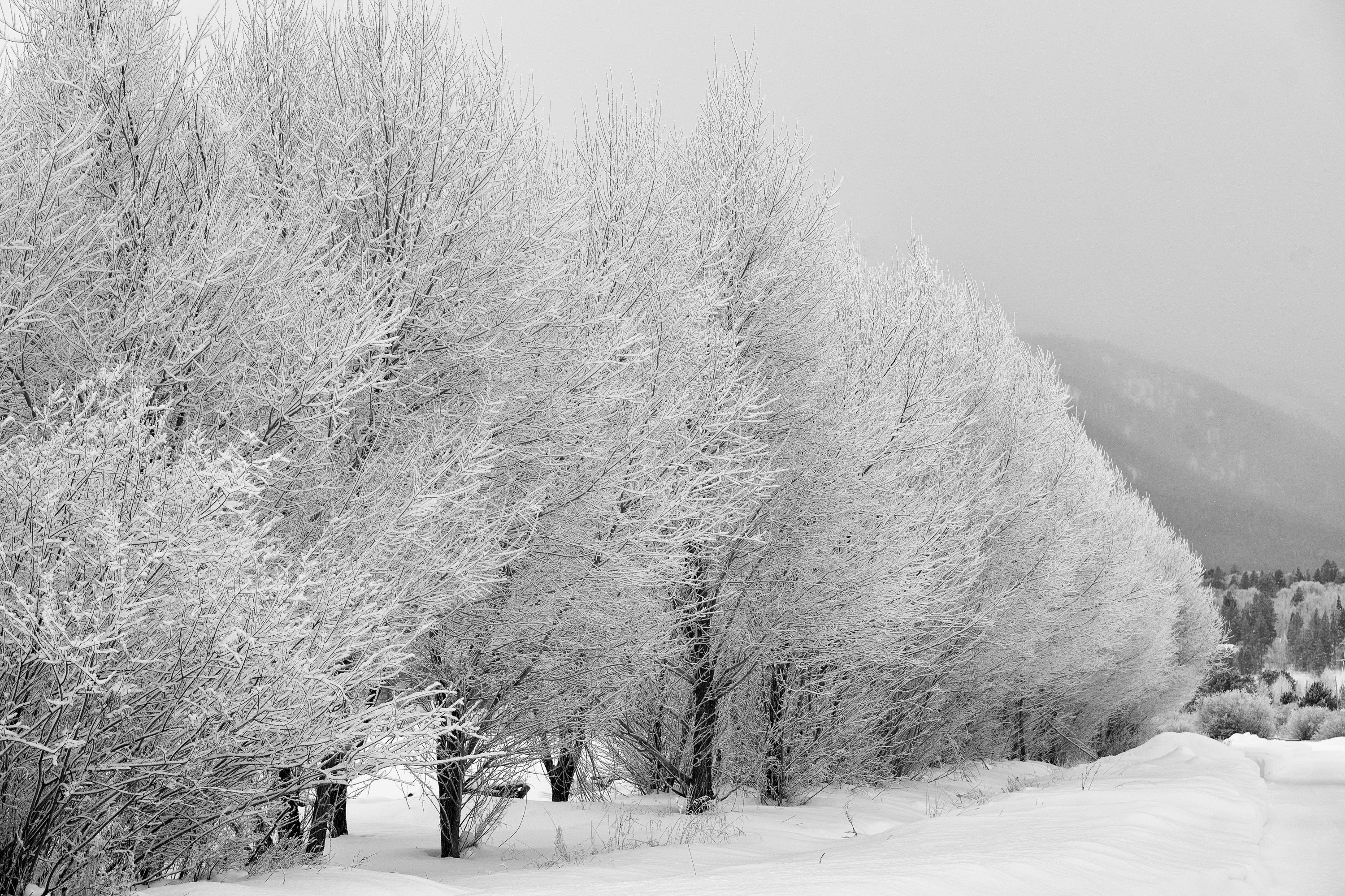 new-years-day-2017-snow-15