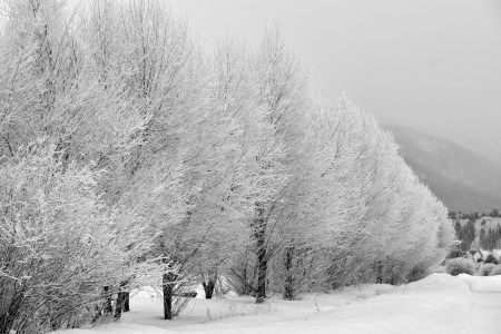 new-years-day-2017-snow-15