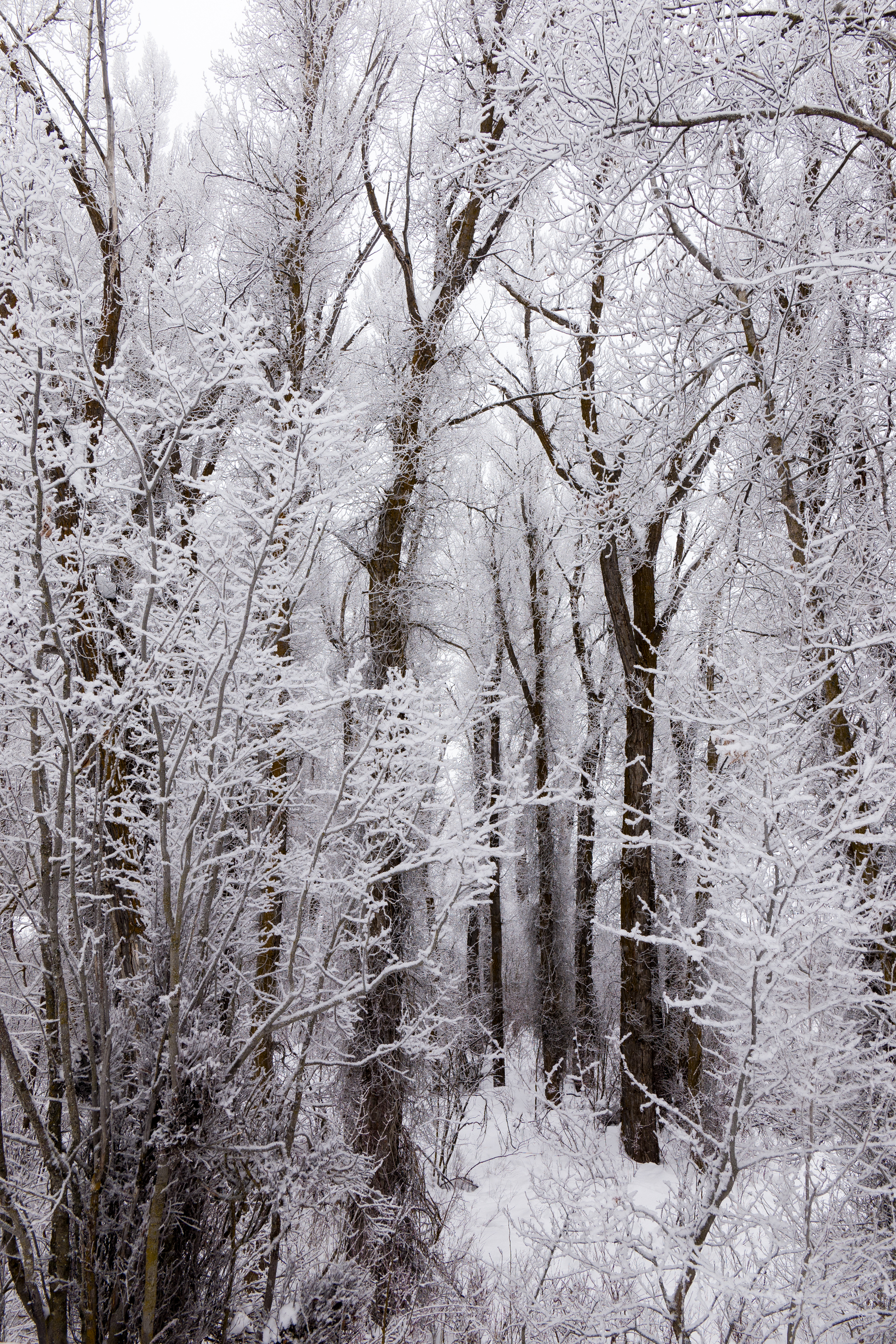 new-years-day-2017-snow-3