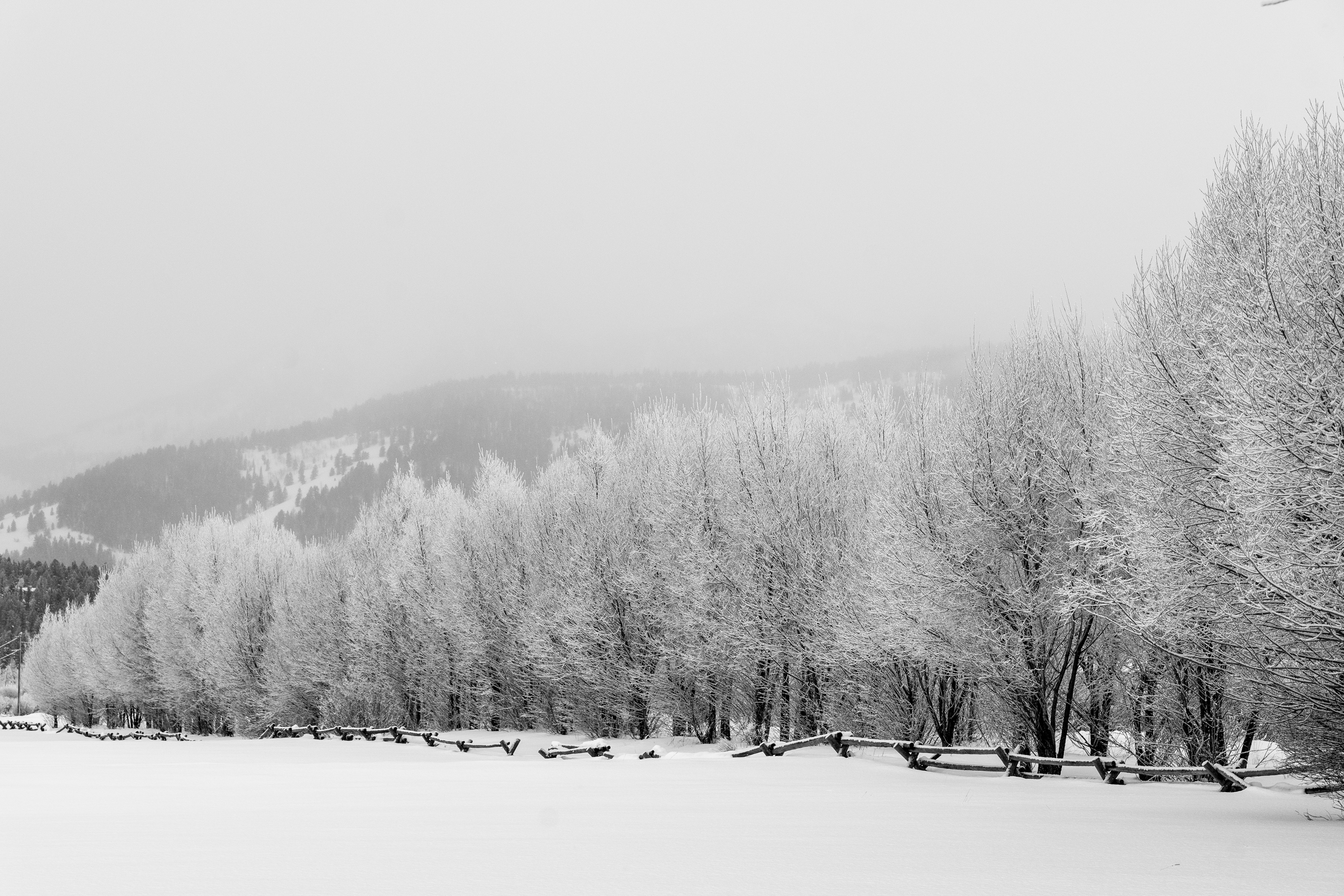 new-years-day-2017-snow-4