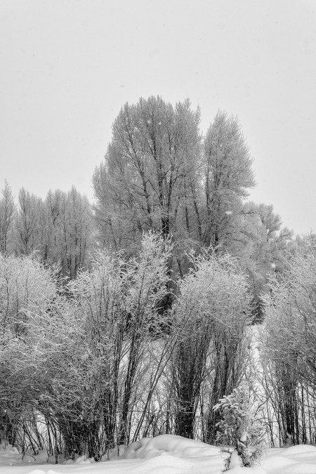 new-years-day-2017-snow-5