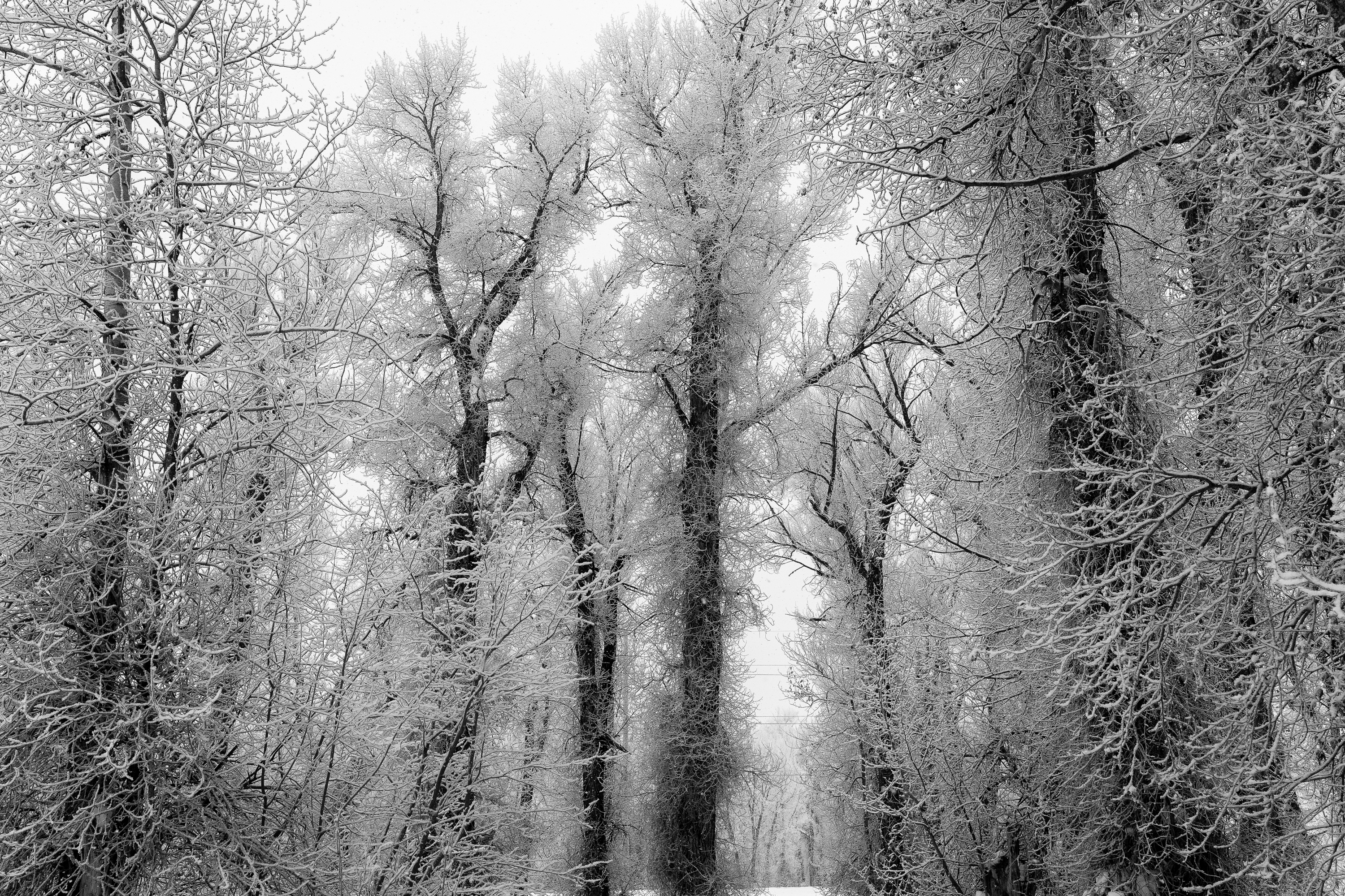 new-years-day-2017-snow-6