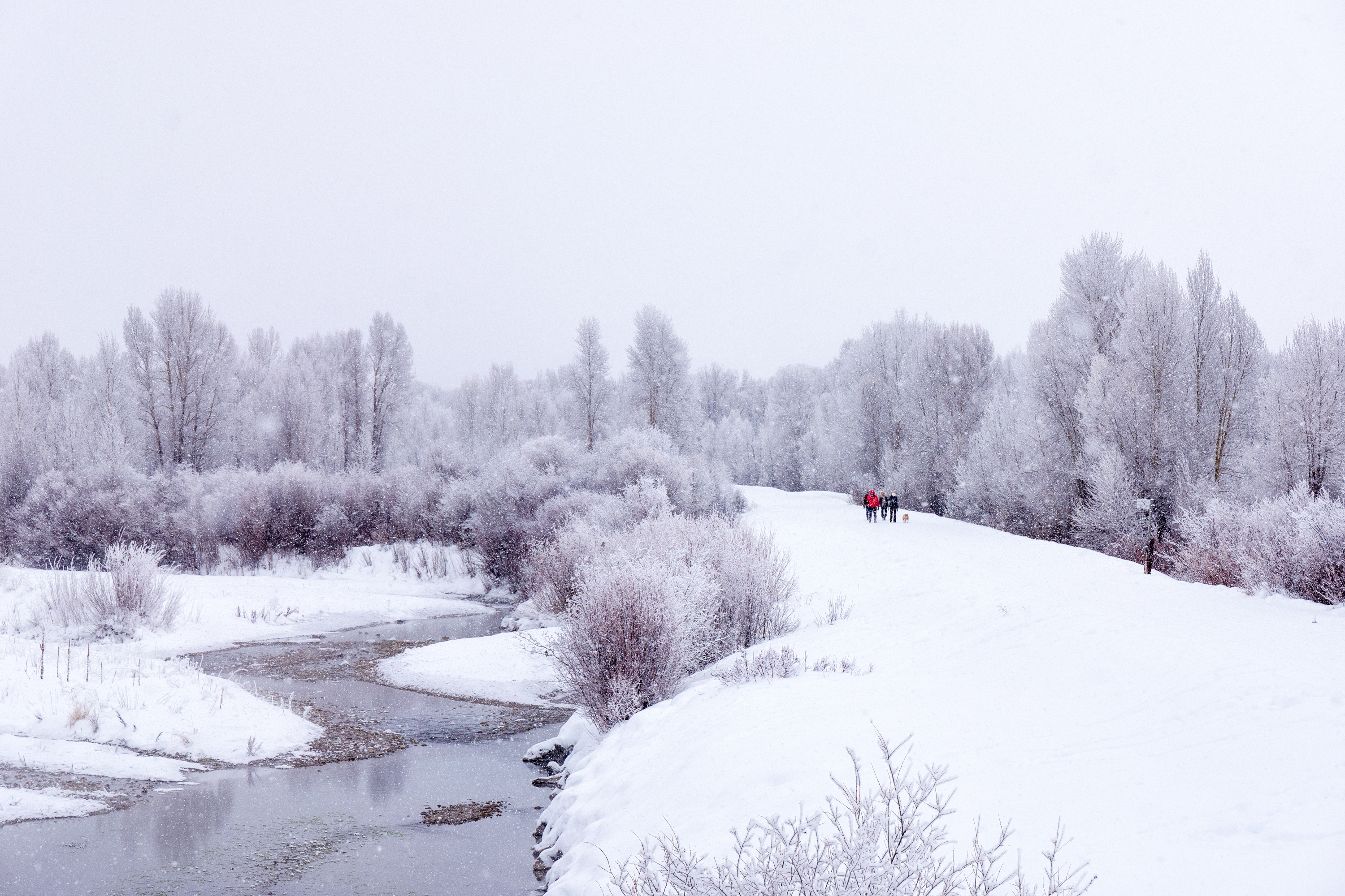 new-years-day-2017-snow-8
