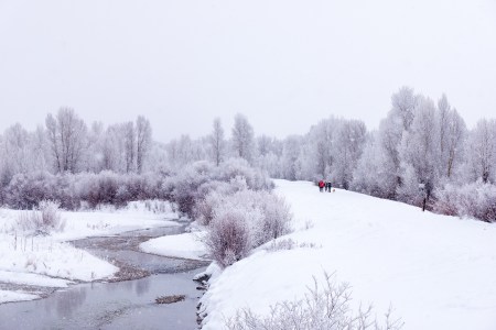 new-years-day-2017-snow-8