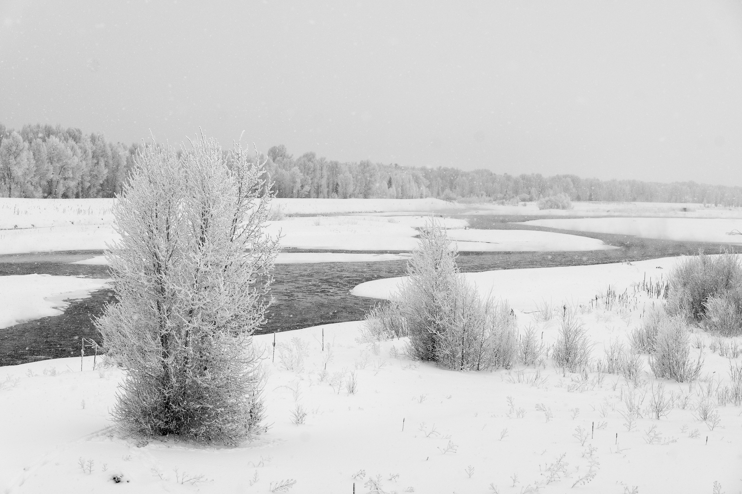 new-years-day-2017-snow-9