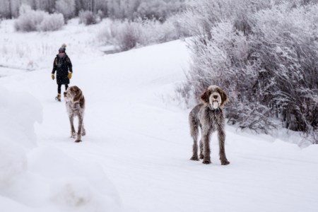new-years-day-2017-snow