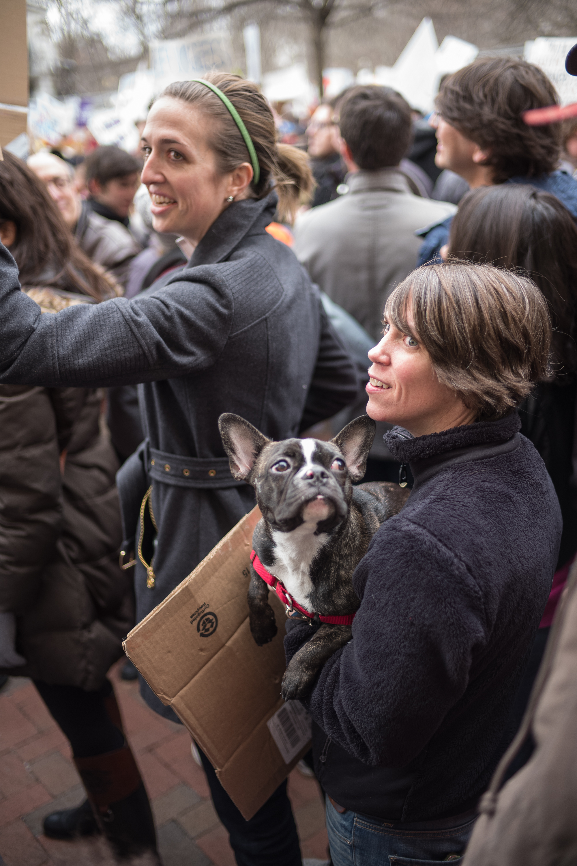 white-house-protest-12917-22