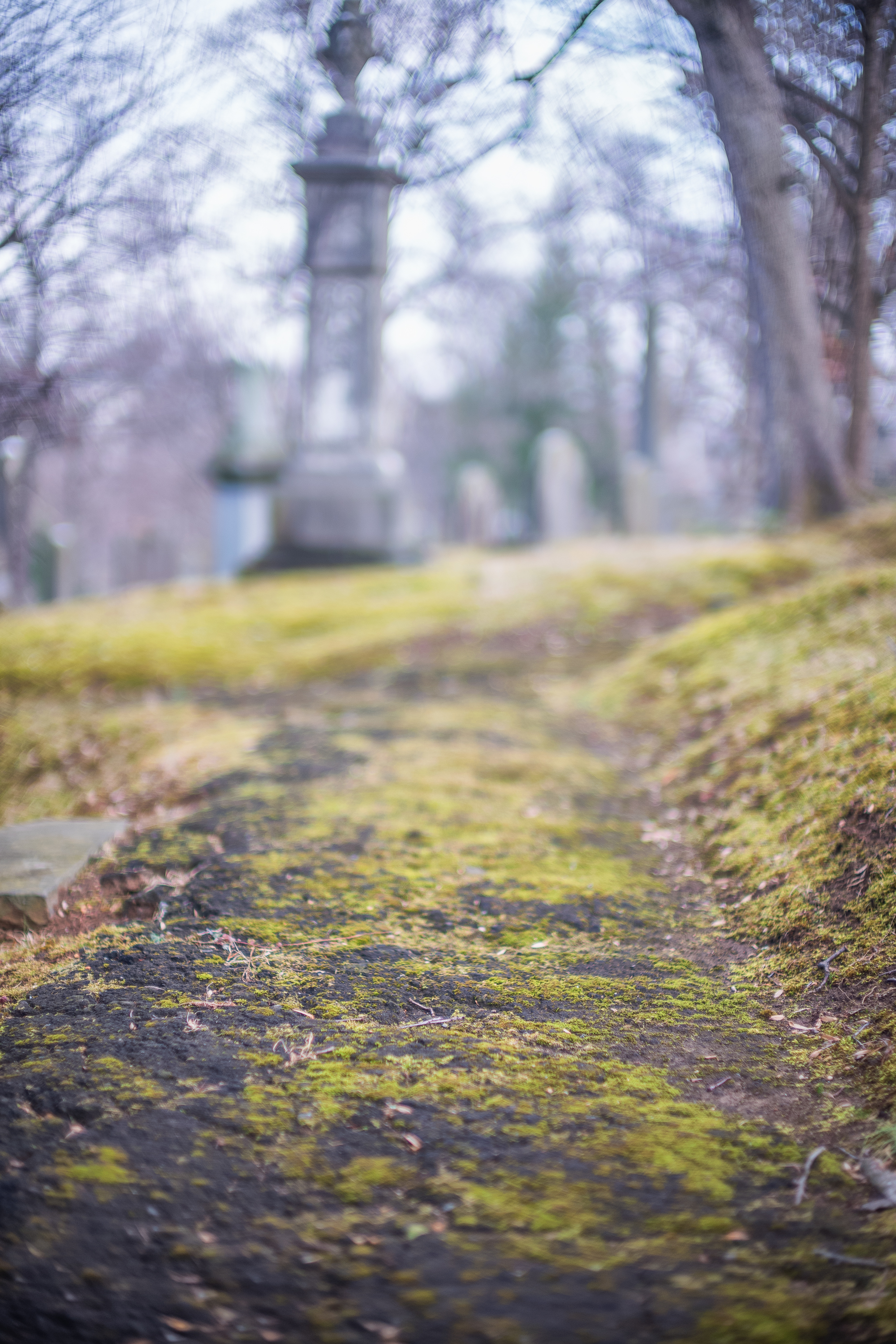 oak-hill-supplement-2