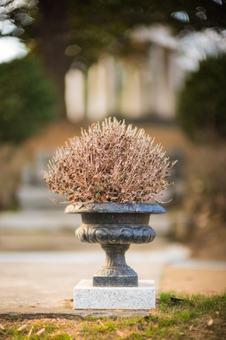 oak-hill-supplement-3