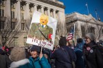 third-trump-demo-march-13