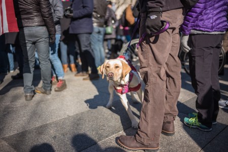 third-trump-demo-march-14