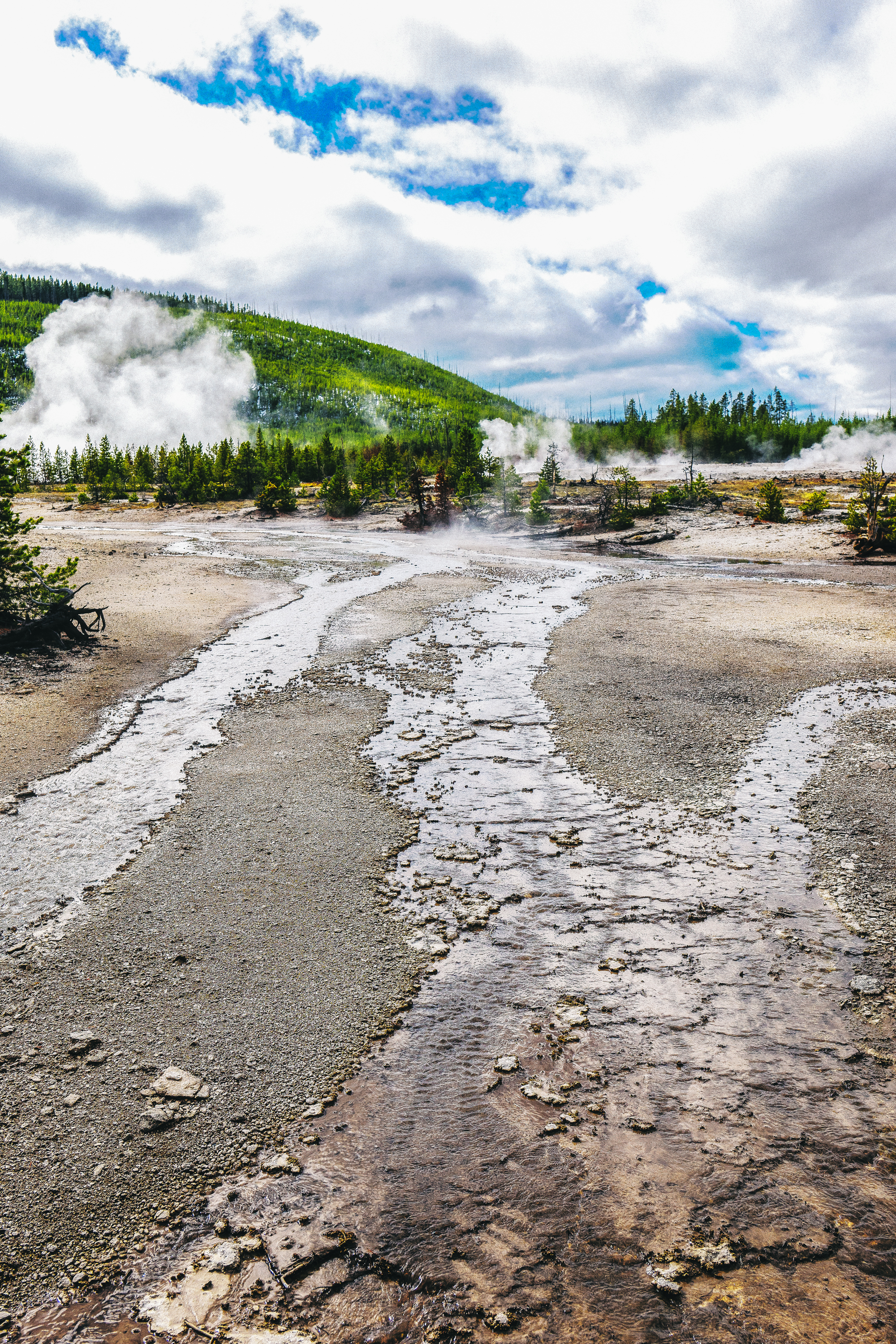 Yellowstone Abstract-10