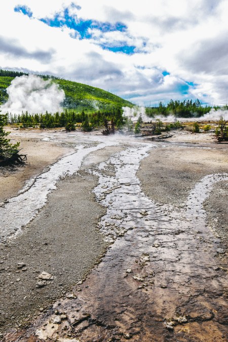 Yellowstone Abstract-10