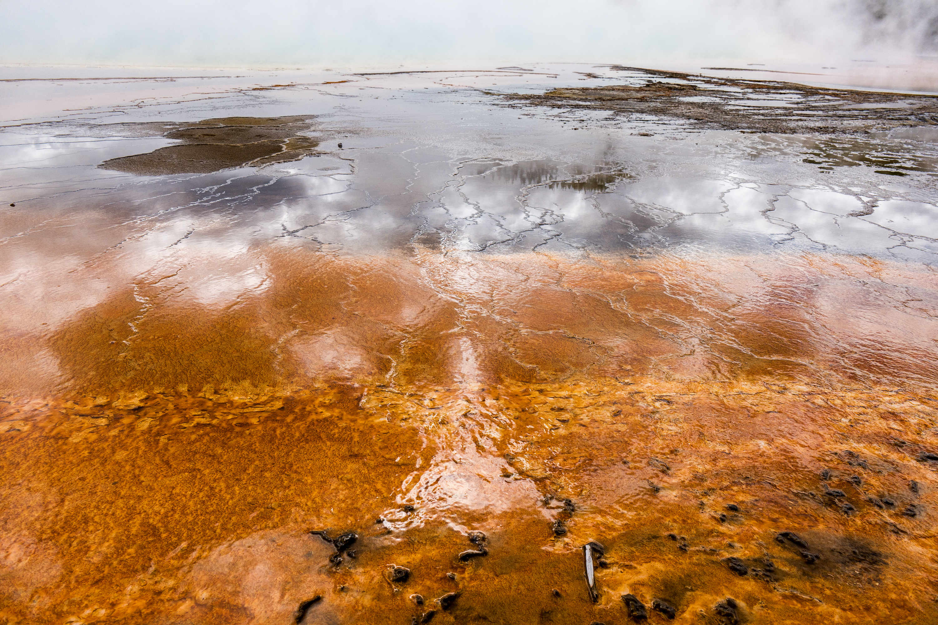 Yellowstone Abstract-11