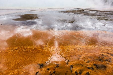 Yellowstone Abstract-11