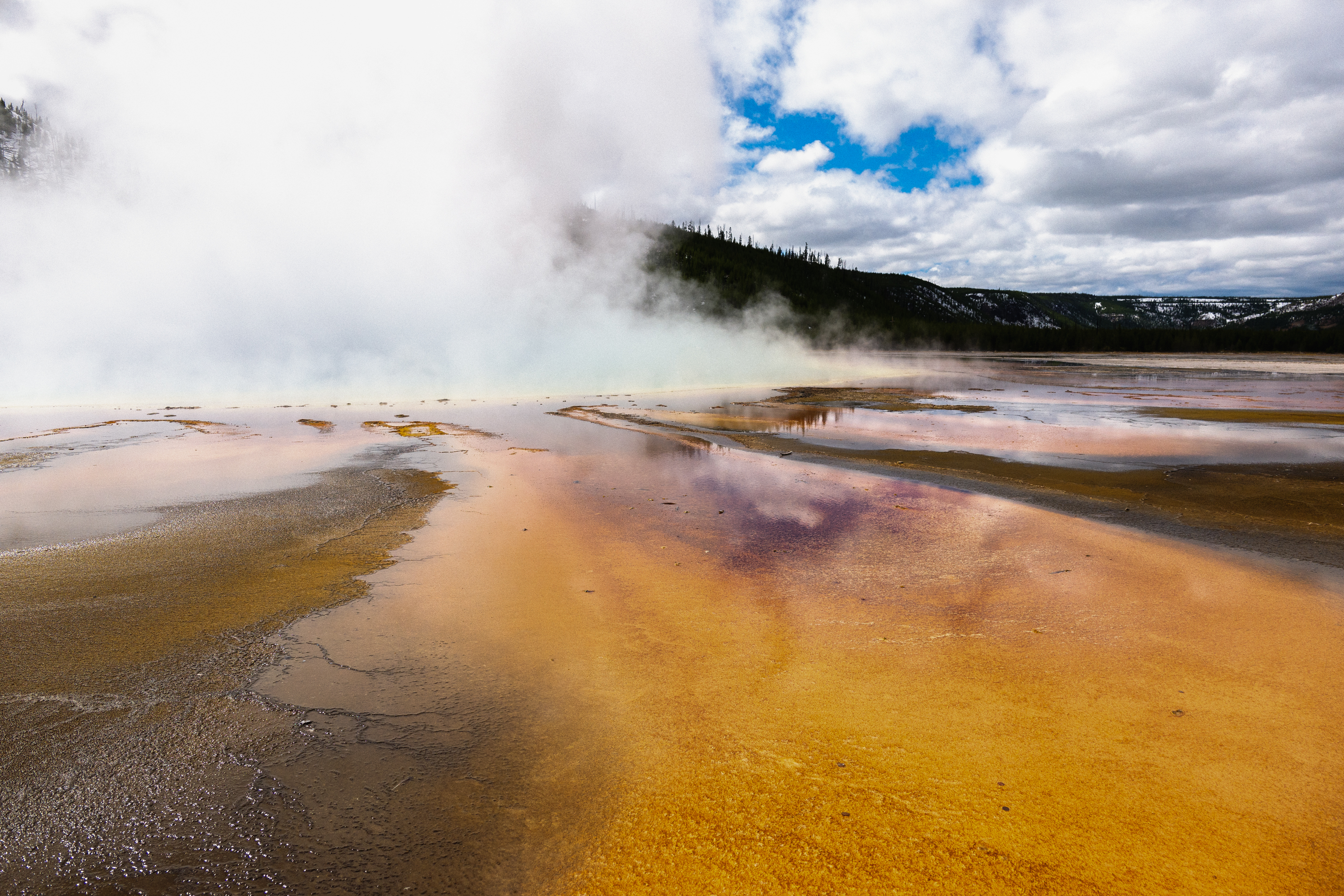 Yellowstone Abstract-12