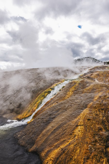 Yellowstone Abstract-14