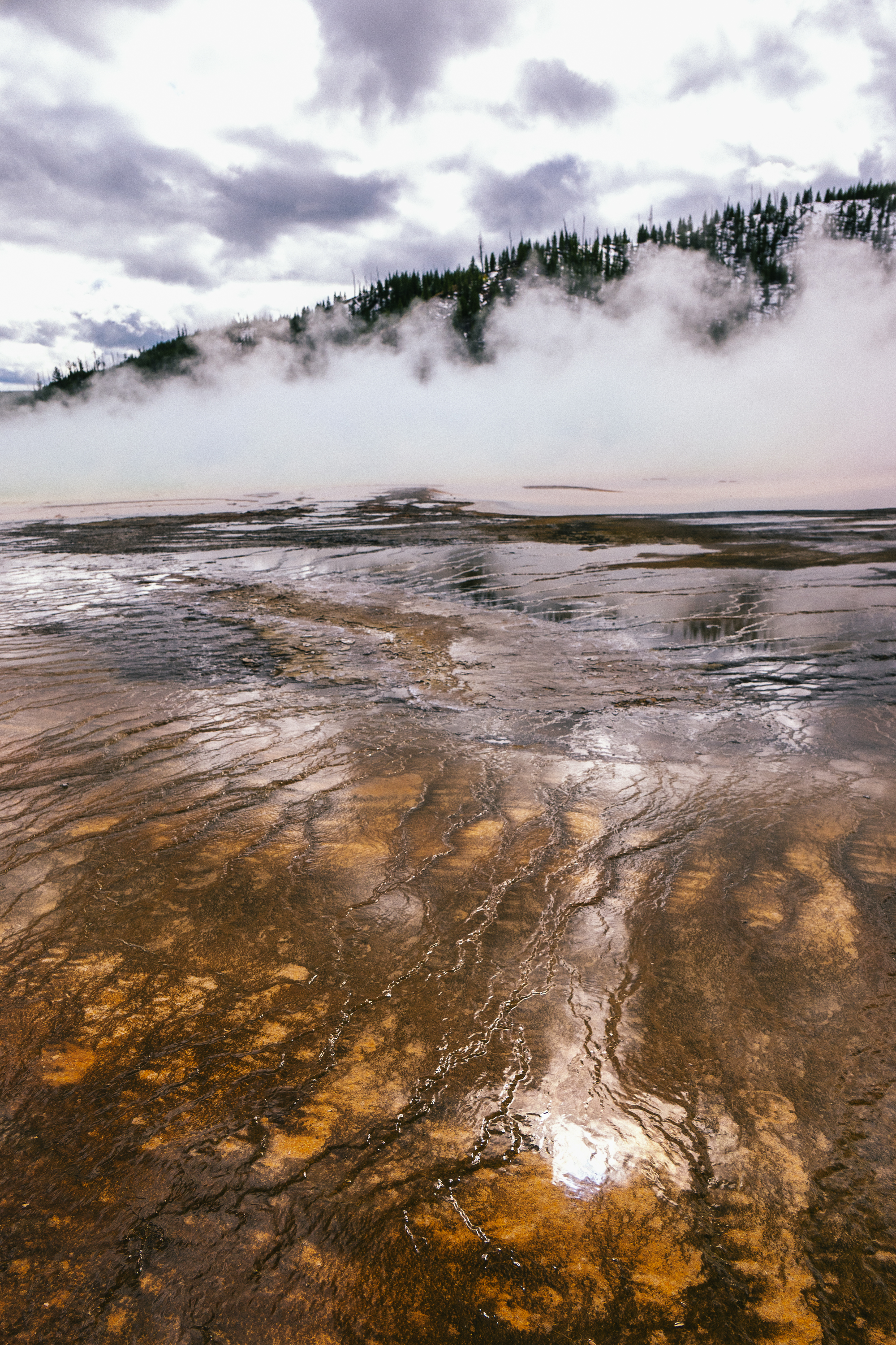 Yellowstone Abstract-17