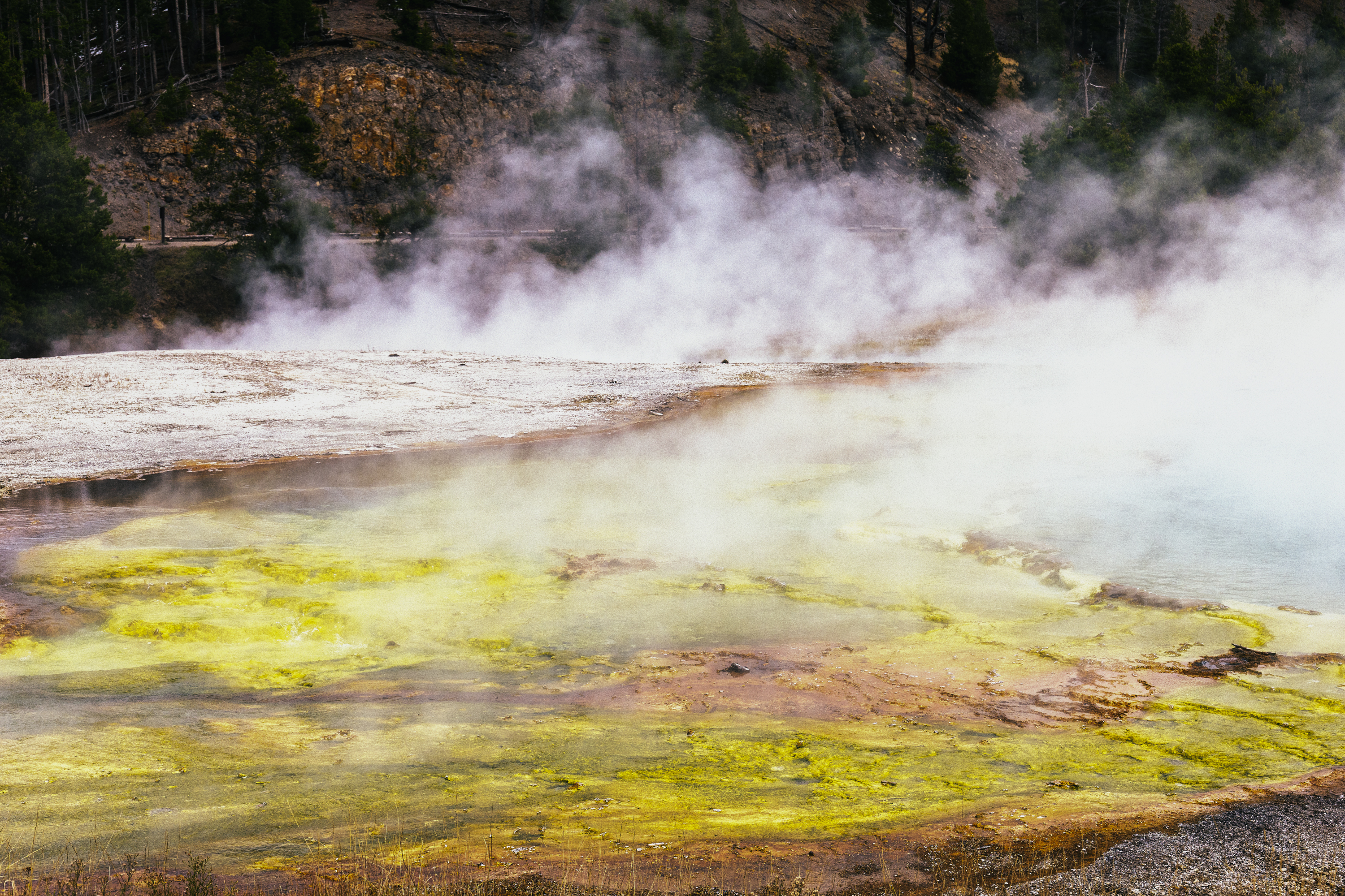 Yellowstone Abstract-18